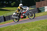 Vintage-motorcycle-club;eventdigitalimages;mallory-park;mallory-park-trackday-photographs;no-limits-trackdays;peter-wileman-photography;trackday-digital-images;trackday-photos;vmcc-festival-1000-bikes-photographs
